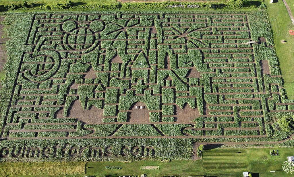 2021 corn maze design at Ouimet Farms Adventure