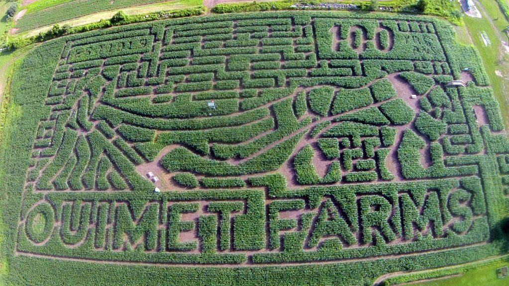 2019 corn maze design at Ouimet Farms Adventure