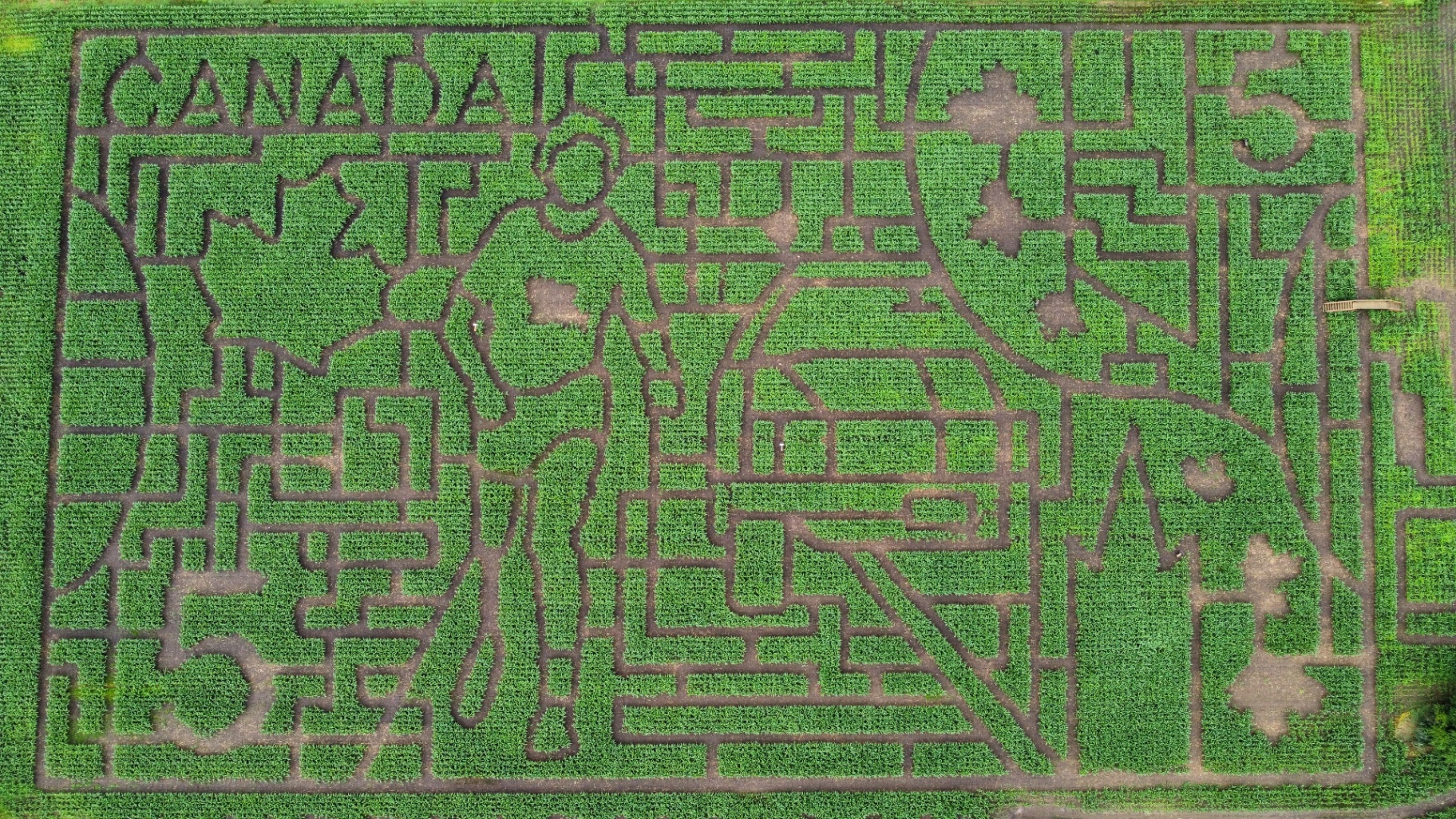 2025 corn maze design at Ouimet Farms Adventure