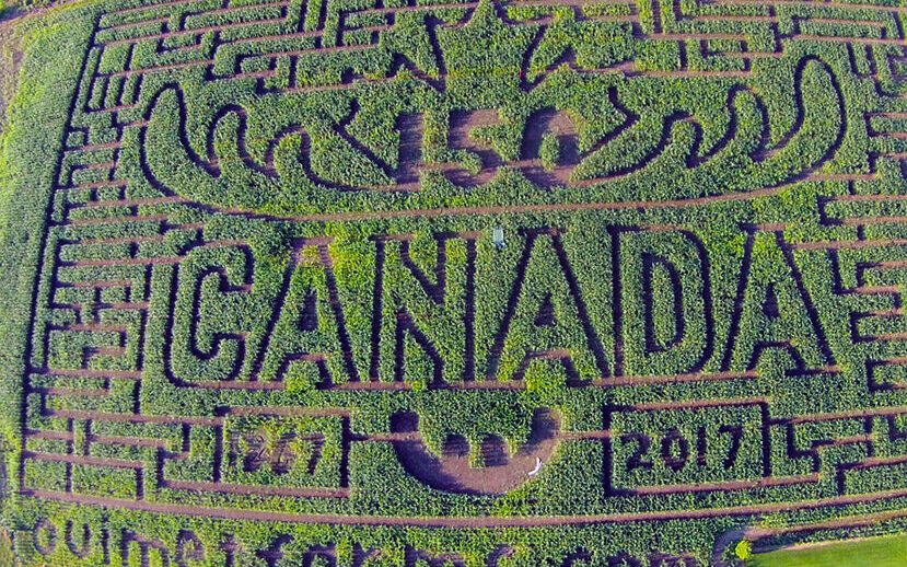 2017 corn maze design at Ouimet Farms Adventure