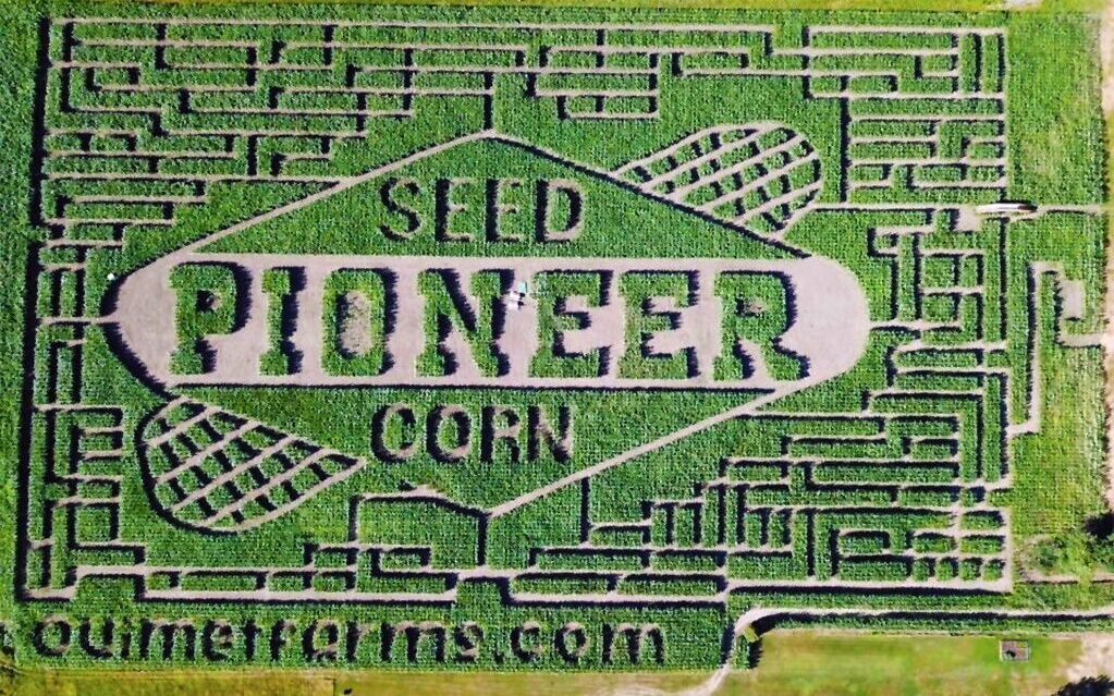 2018 corn maze design at Ouimet Farms Adventure