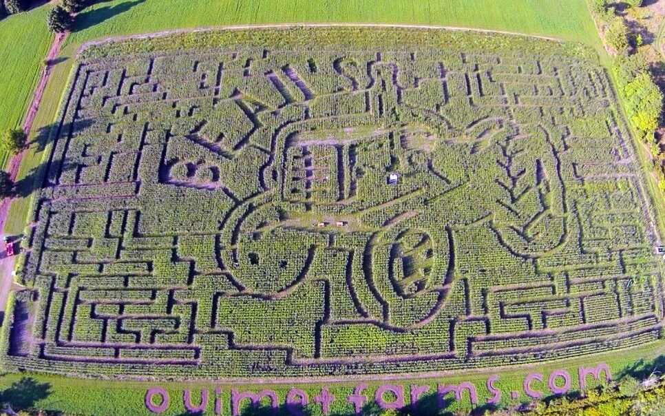 2015 corn maze design at Ouimet Farms Adventure