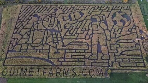 2024 corn maze design at Ouimet Farms Adventure