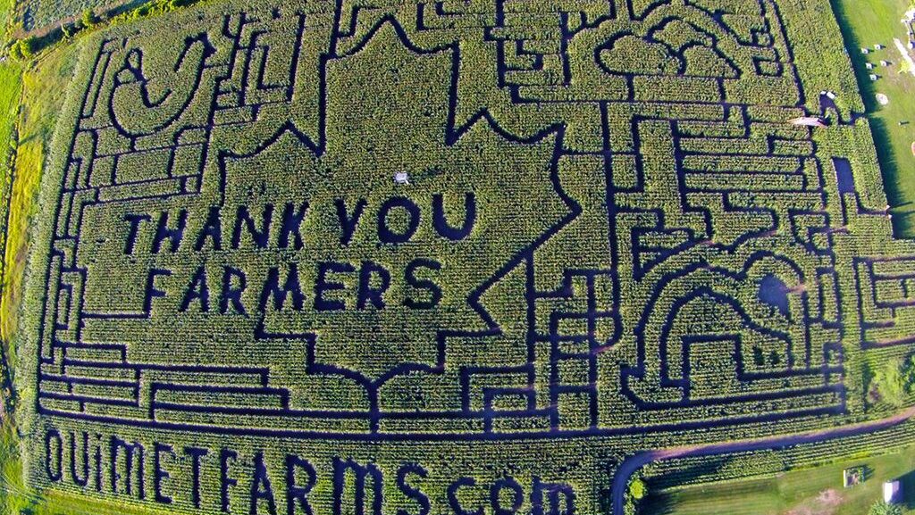 2020 corn maze design at Ouimet Farms Adventure