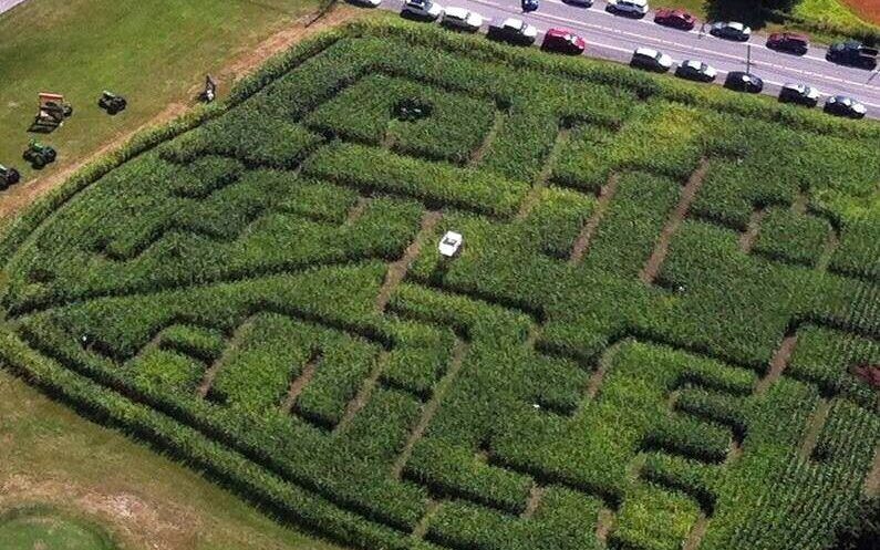 2013 corn maze design at Ouimet Farms Adventure